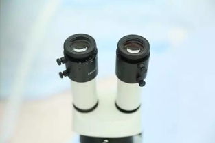 9月新疆，您不得不知的五大看點與保健器械建議